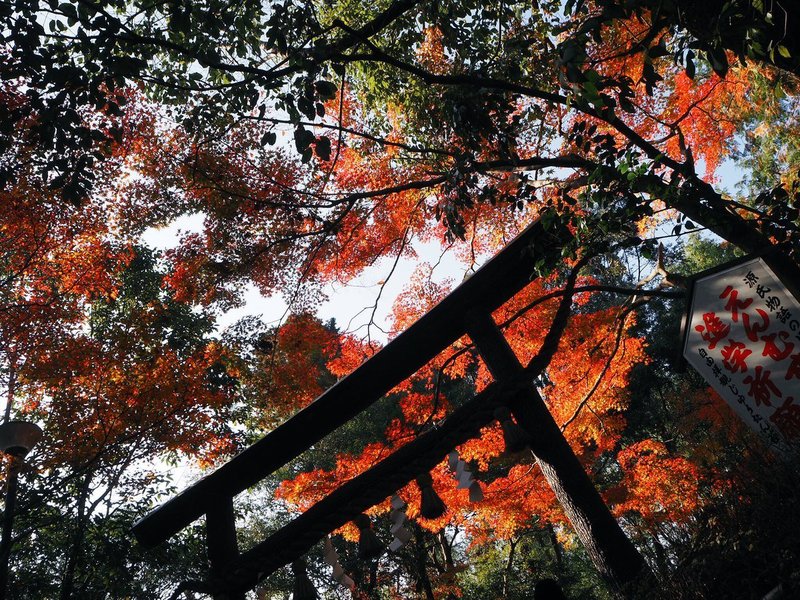 f:id:mk_taxi:20191023190602j:plain 野宮神社