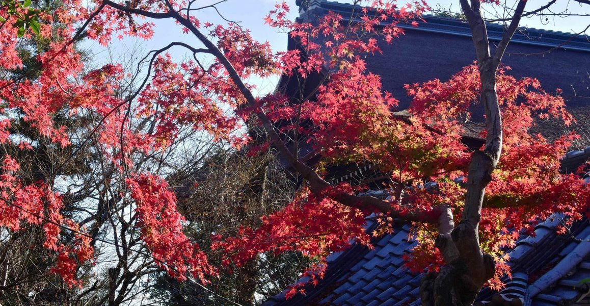 f:id:mk_taxi:20191023191307j:plain 松尾大社