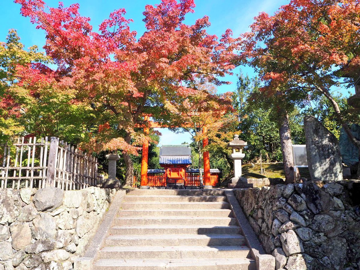 f:id:mk_taxi:20191023191537j:plain 天龍寺