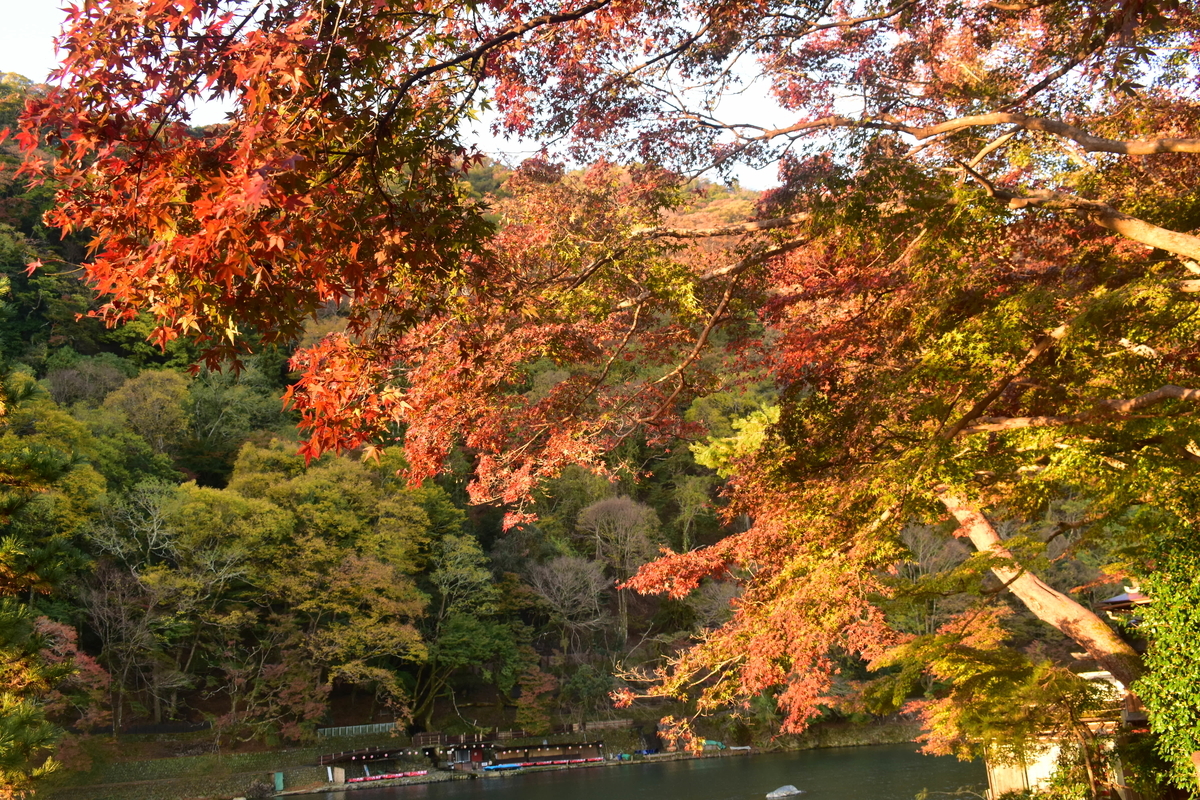 f:id:mk_taxi:20191024134141j:plain 亀山公園