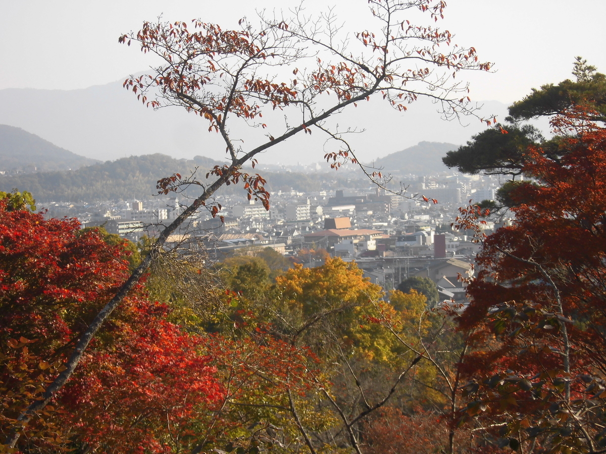 f:id:mk_taxi:20191024150034j:plain 亀山公園