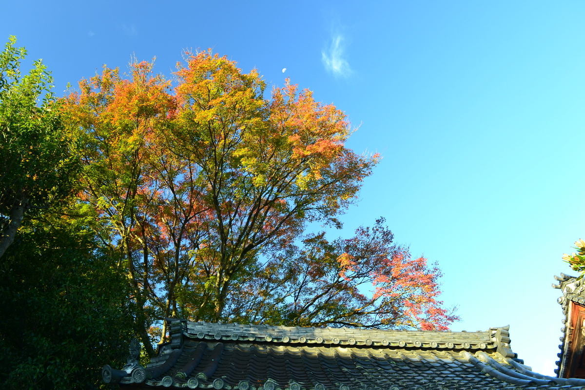 f:id:mk_taxi:20191029092515j:plain 宝筐院