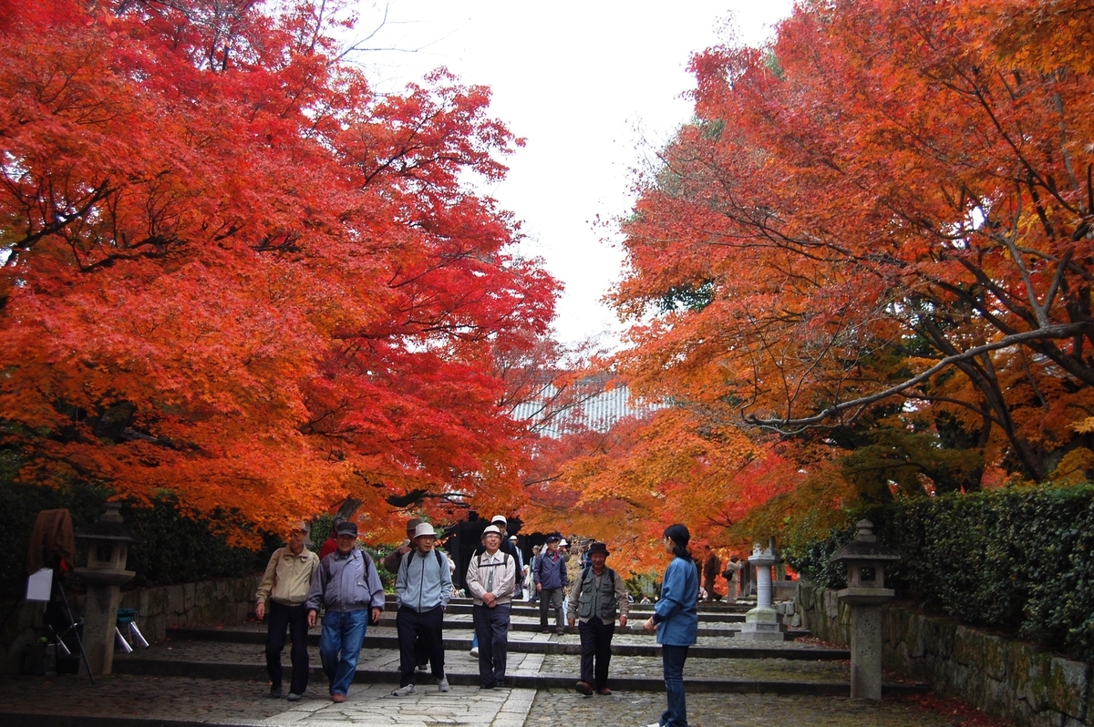 真如堂・参道の紅葉 見頃 2007年11月29日 撮影:MKタクシー