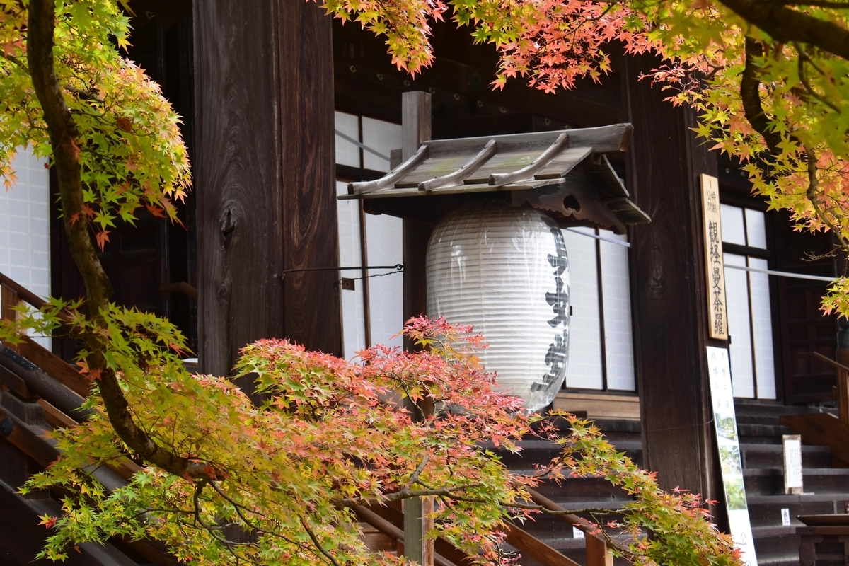 真如堂の紅葉真如堂(本堂)前の紅葉 見頃近し 2018年11月14日 撮影:MKタクシー
