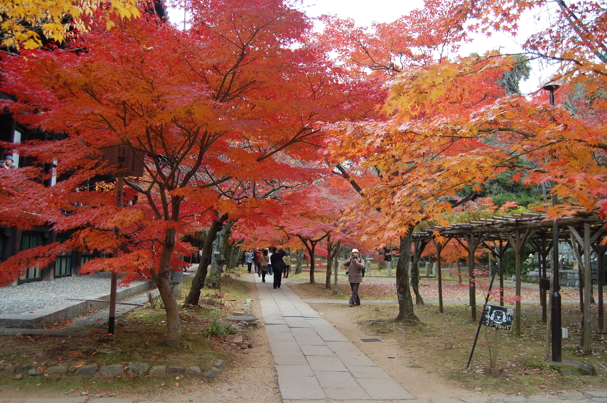 真如堂の紅葉真如堂南側の紅葉 見頃 2007年11月29日 撮影:MKタクシー