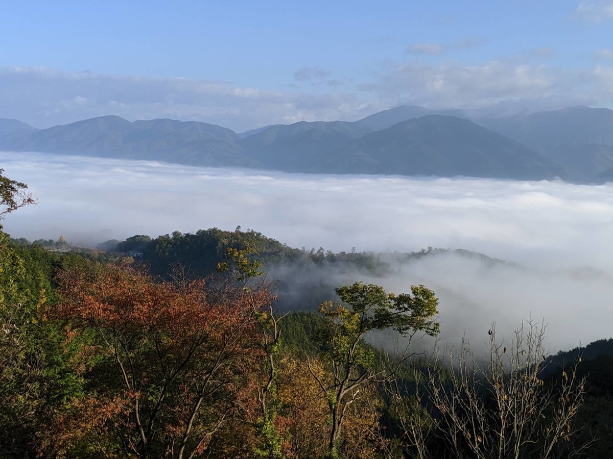 かめおか霧のテラスの紅葉