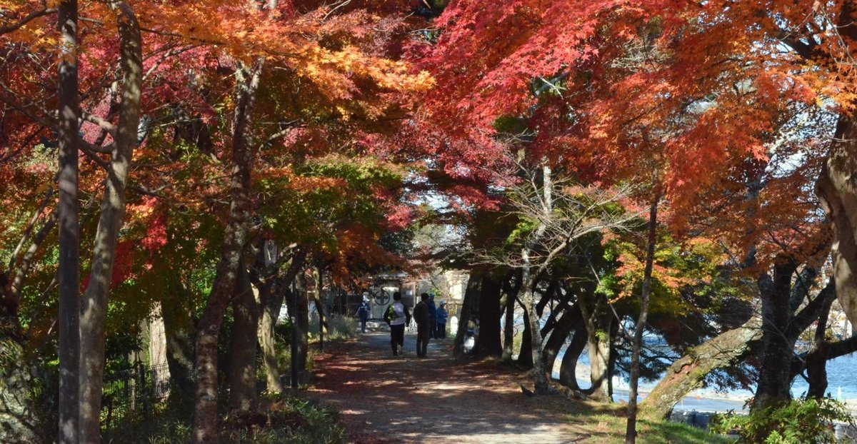 あじろぎの道の紅葉2017