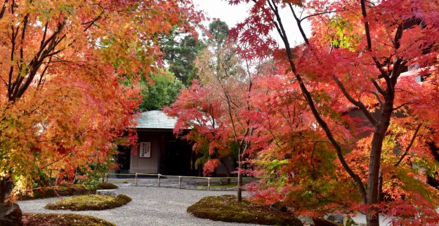 城南宮の紅葉2018