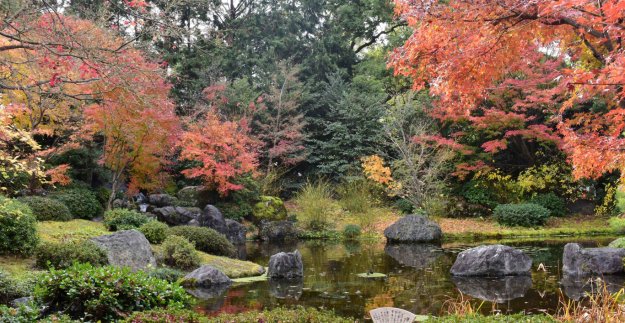 城南宮の紅葉2018