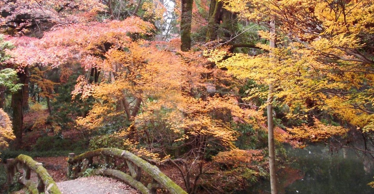 京都府立植物園の紅葉2016
