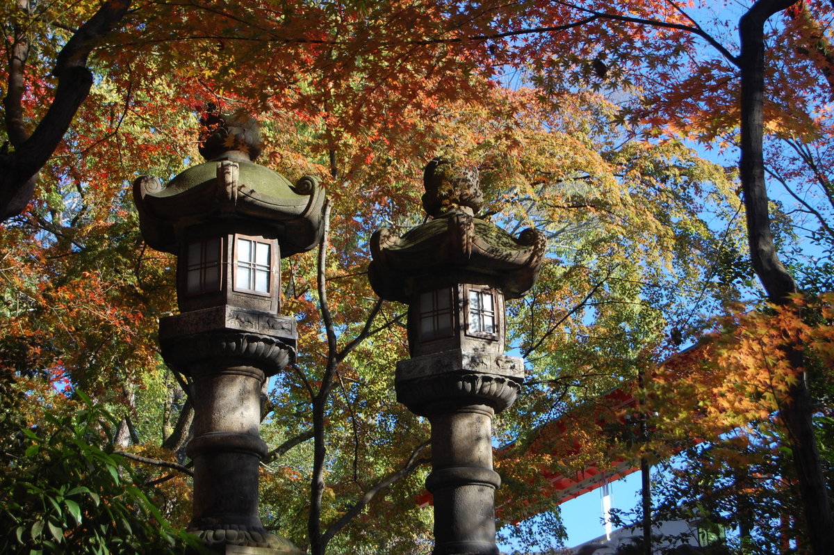 八坂神社の紅葉2008