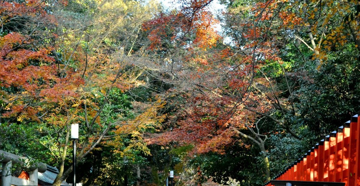 八坂神社の紅葉2017