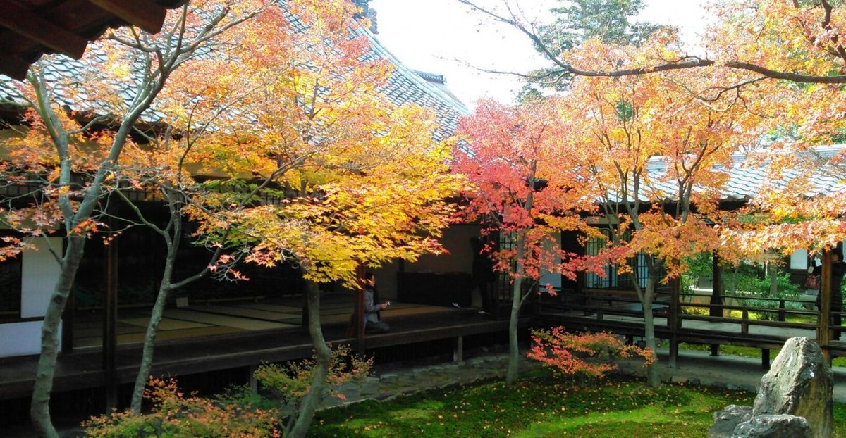 建仁寺の紅葉2014