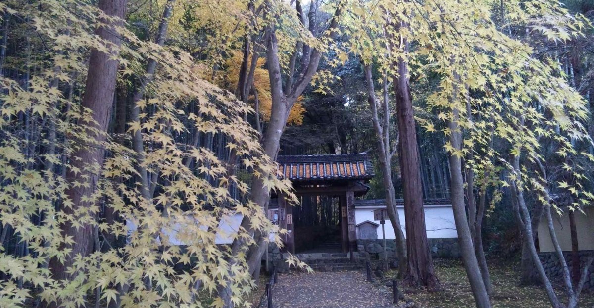 地蔵院の紅葉2012