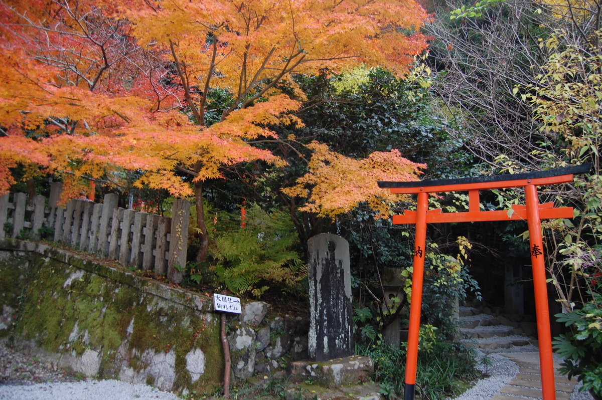 大豊神社の紅葉