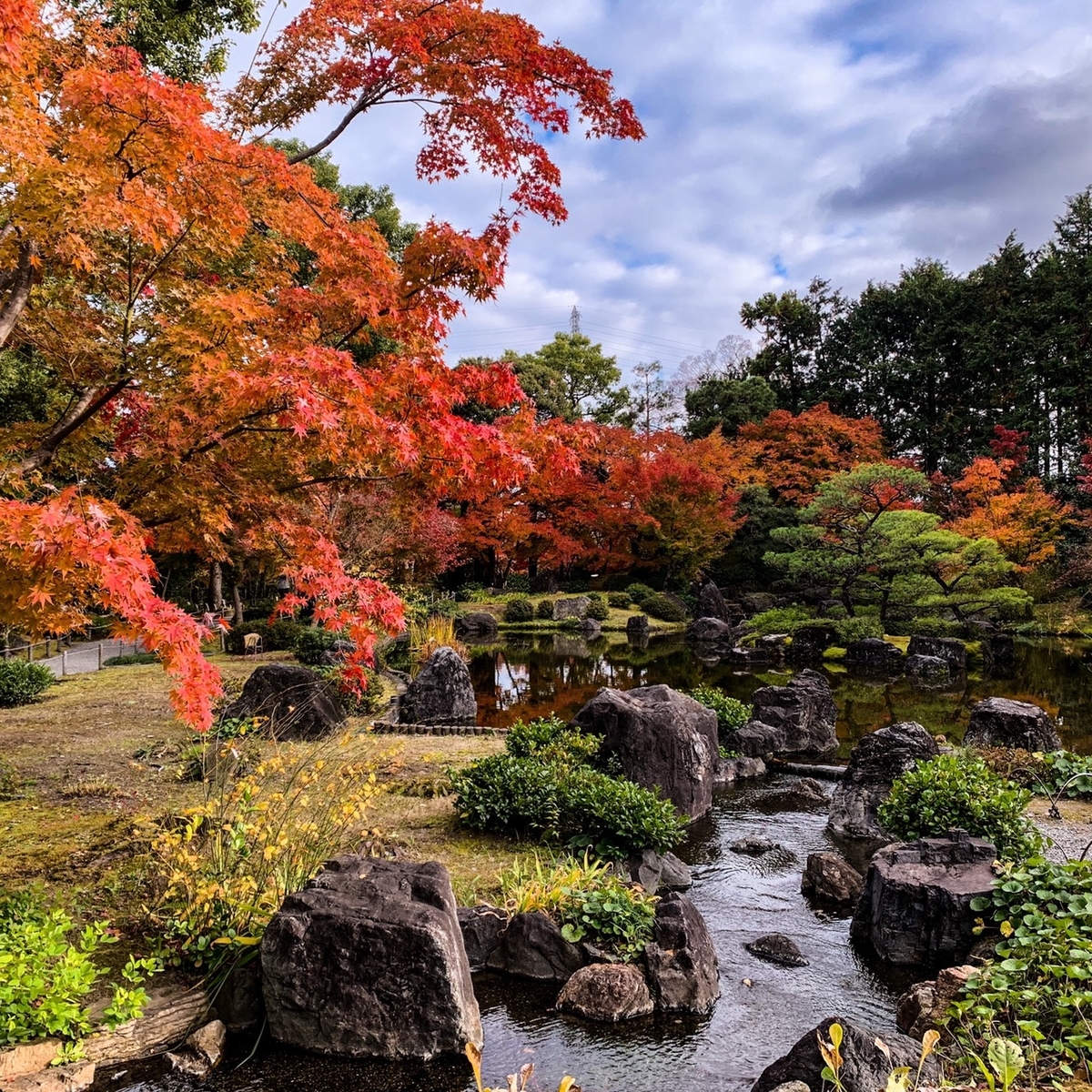 城南宮の紅葉2019