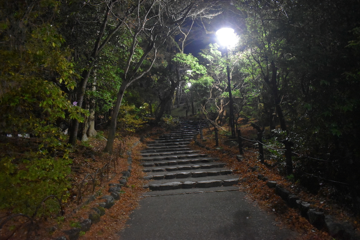 東山山頂公園の初日の出