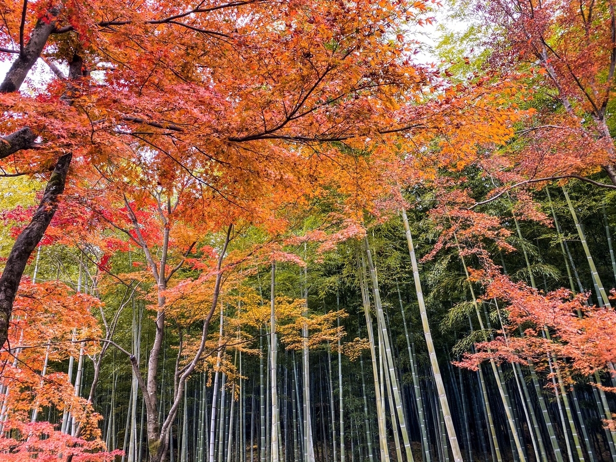 龍安寺