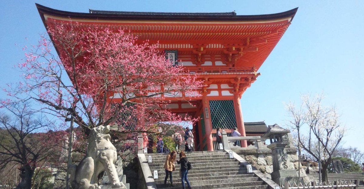 清水寺の梅