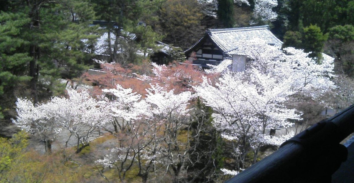 南禅寺の桜