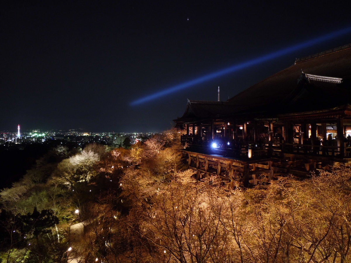 清水寺の桜