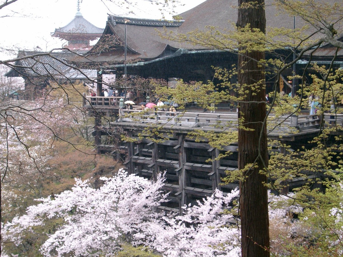 清水寺の桜