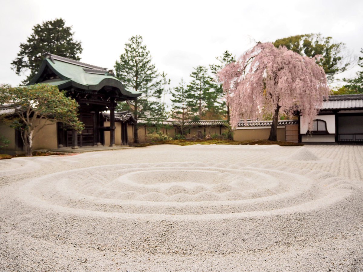 高台寺の桜