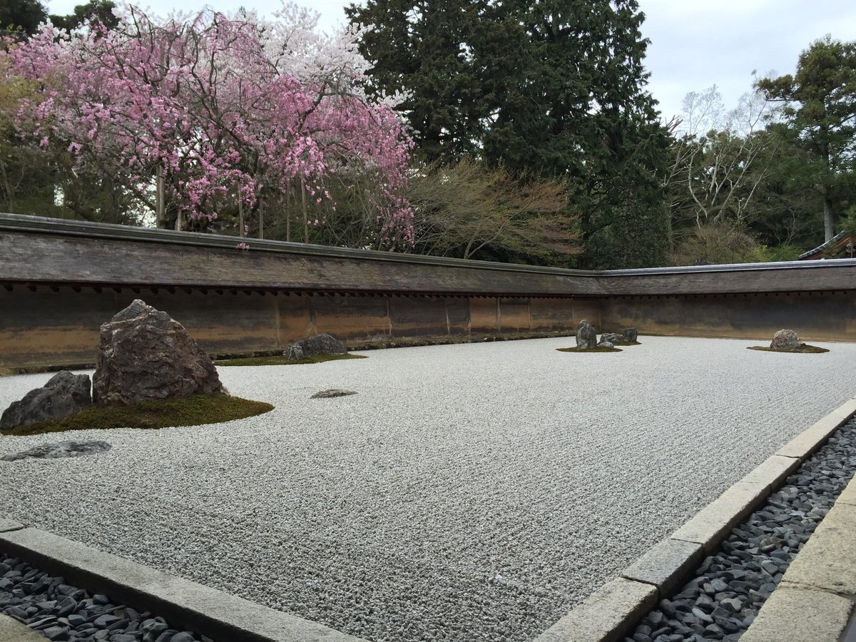 龍安寺の桜