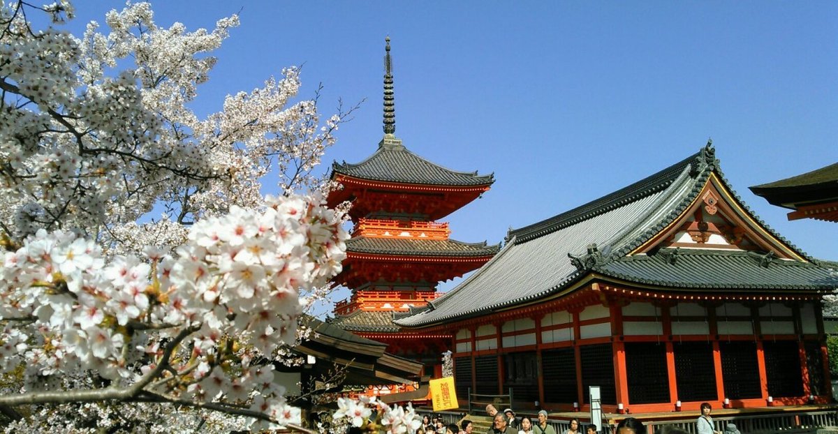 清水寺の桜