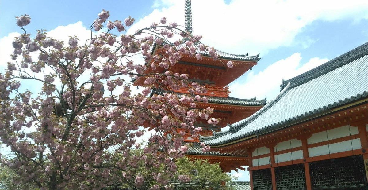 清水寺の桜