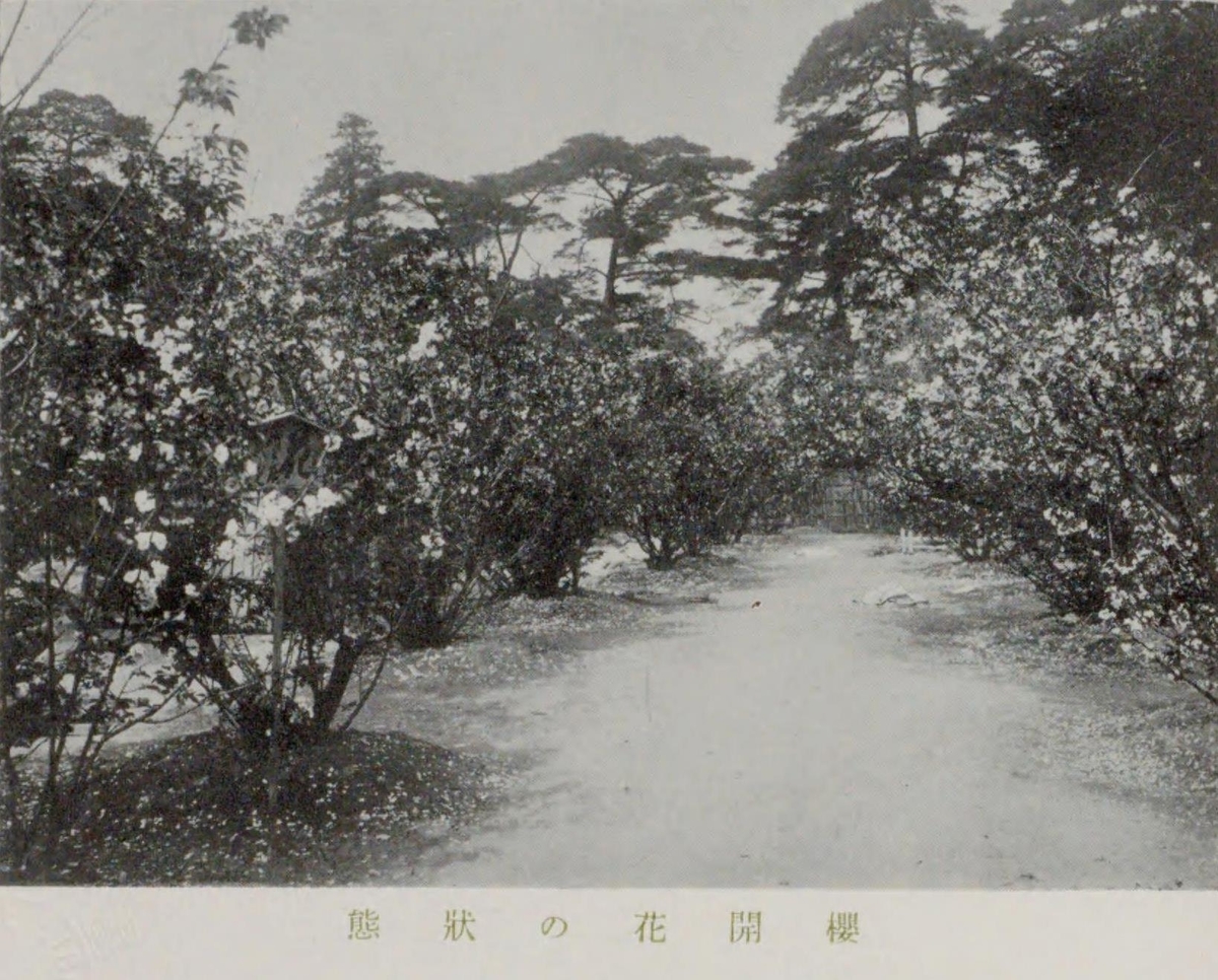 京都府の史蹟名勝天然紀念物(国立国会図書館デジタルコレクションより)