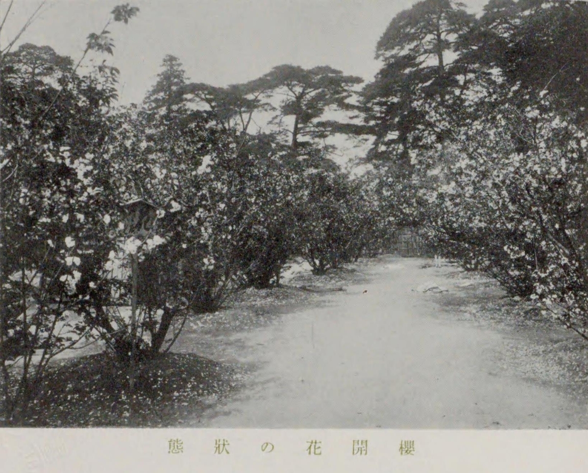 京都府の史蹟名勝天然紀念物（国立国会図書館デジタルコレクションより）