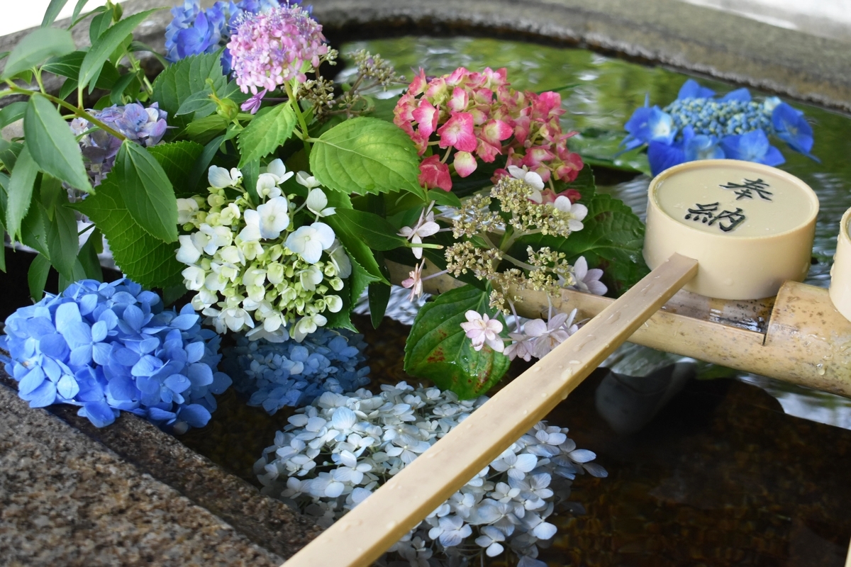 真如堂 花手水 2019年6月19日 撮影:MKタクシー