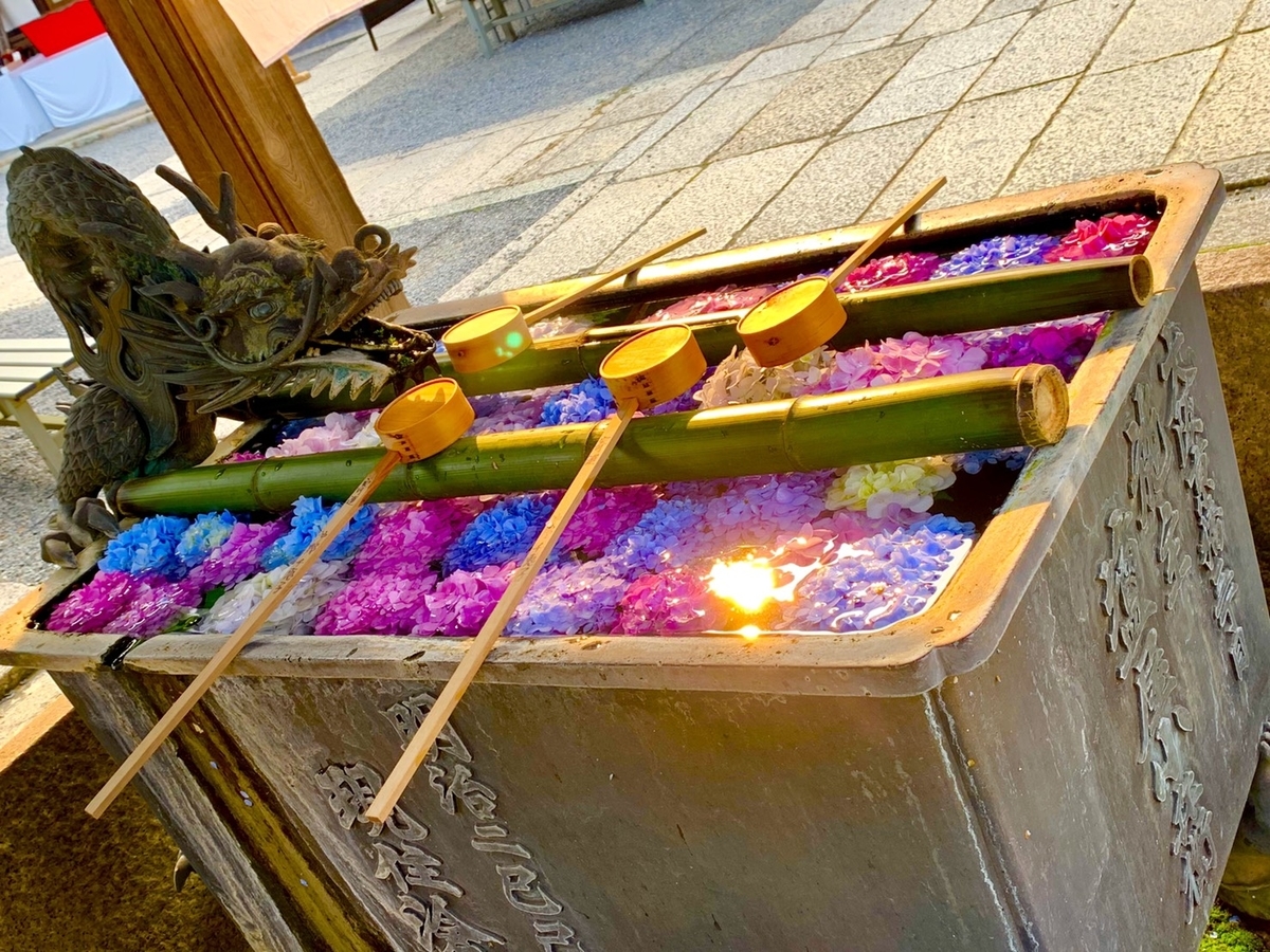 柳谷観音楊谷寺 花手水 2019年6月19日 撮影:MKタクシー