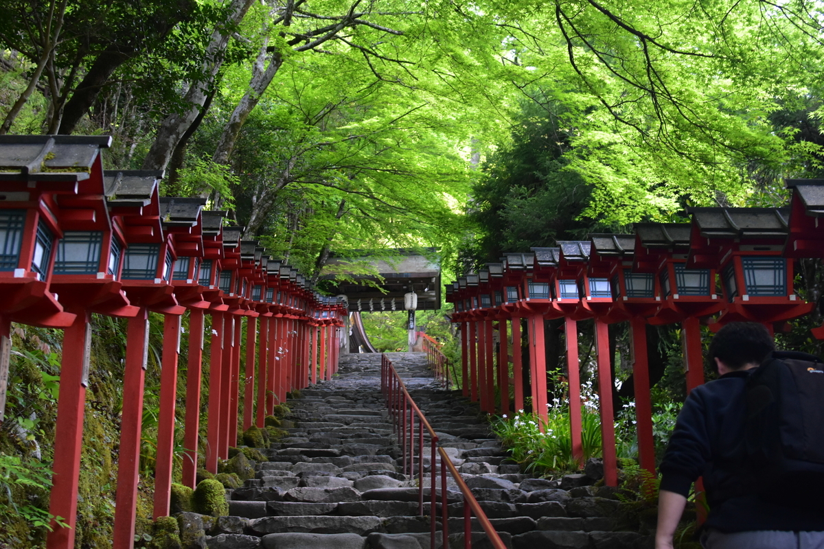 貴船神社の新緑 2019年5月12日 撮影:MKタクシー