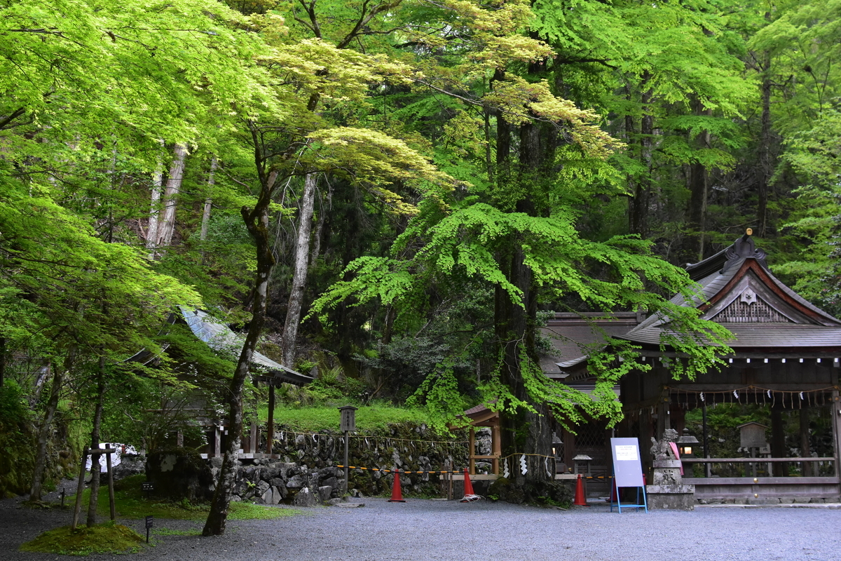 貴船神社の新緑 2019年5月12日 撮影:MKタクシー