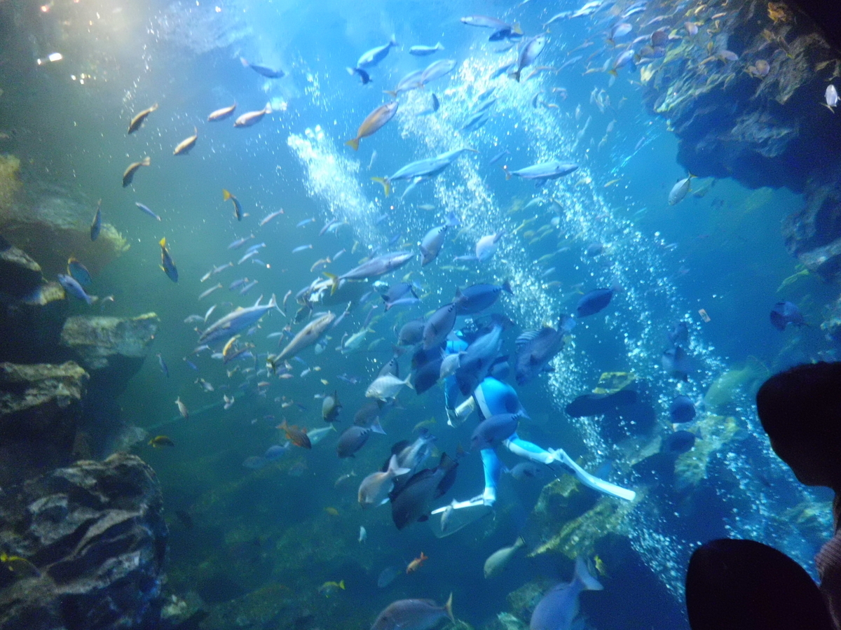 京都水族館 2012年5月12日 撮影:MKタクシー