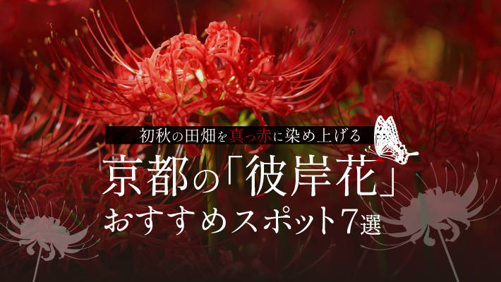 初秋の田畑を真っ赤に染め上げる京都の 彼岸花 おすすめスポット7選 Mkメディア