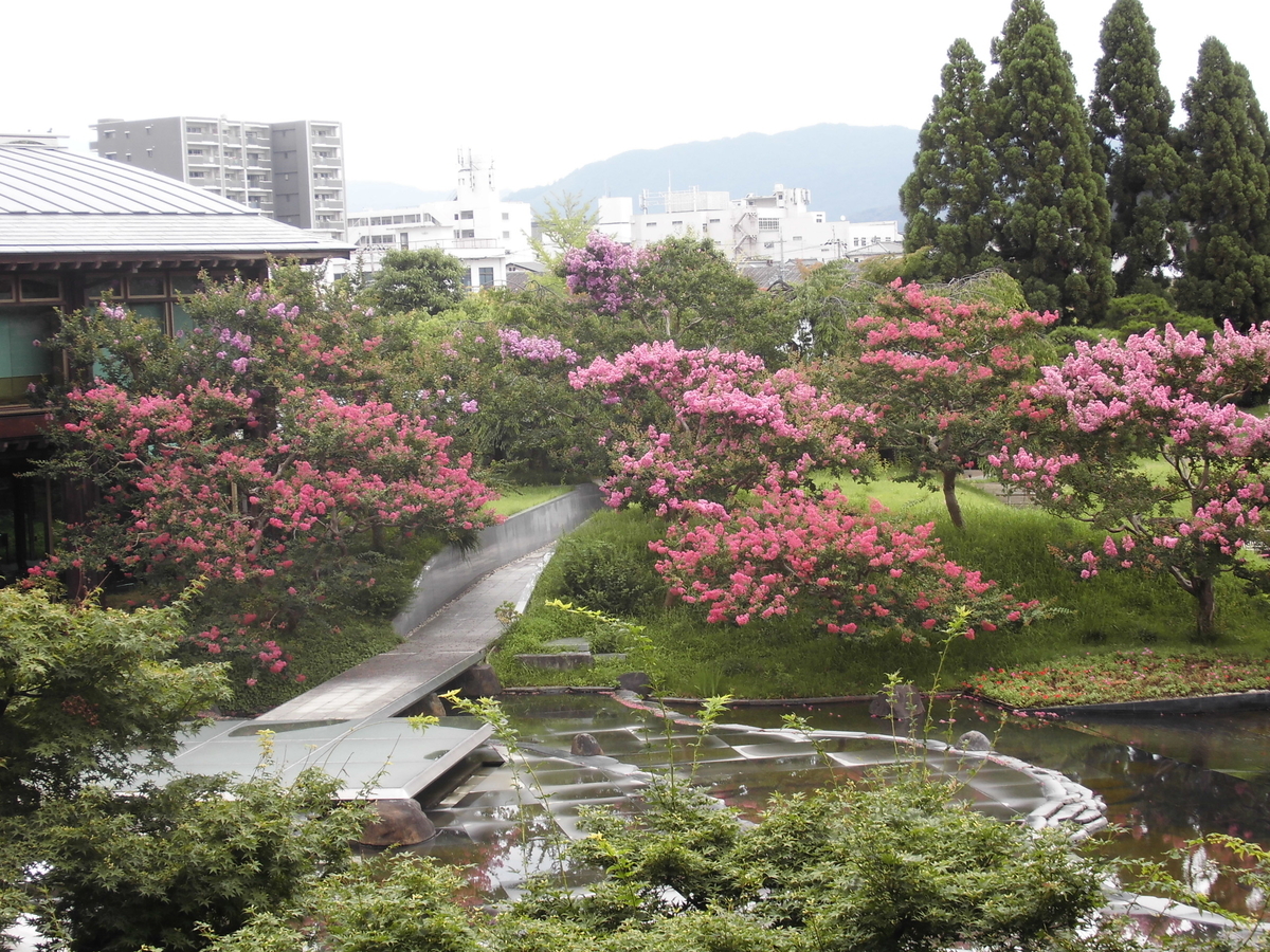 梅小路公園・朱雀の庭 サルスベリ 見頃 2016年7月18日 撮影:MKタクシー