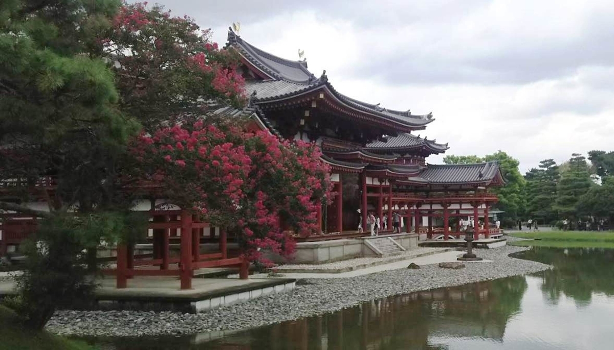 平等院 サルスベリ 見頃 2017年8月28日 撮影:MKタクシー