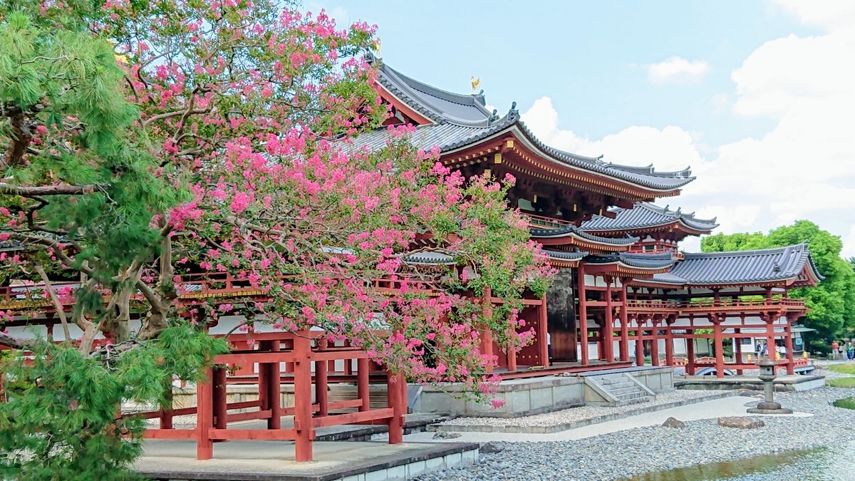 平等院 サルスベリ 見頃 2018年8月27日 撮影:MKタクシー
