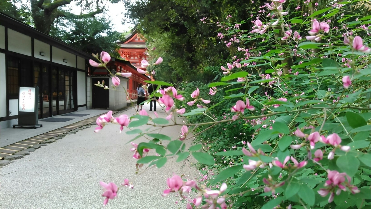 下鴨神社 萩 咲き始め 2015年9月10日 撮影:MKタクシー