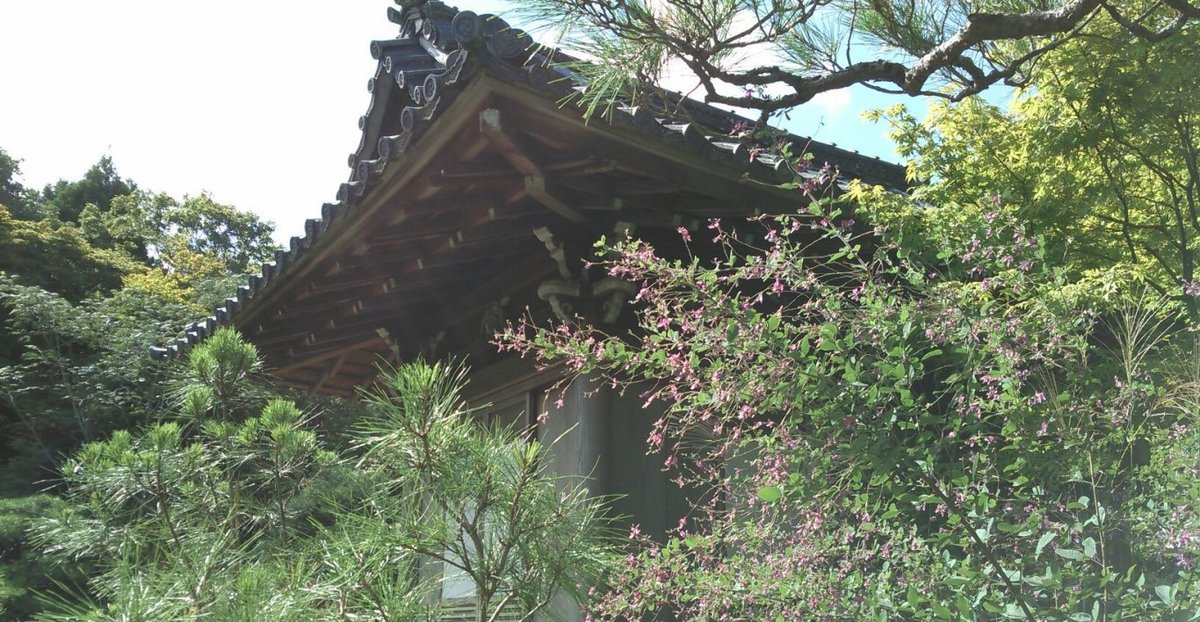 大河内山荘 萩 見頃 2017年9月18日 撮影:MKタクシー