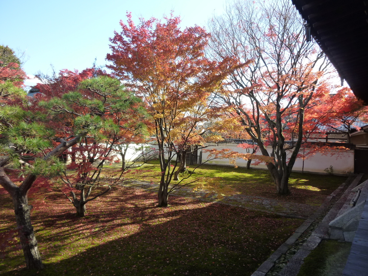 妙覚寺・法姿園　終わり近し　2007年12月8日　撮影：MKタクシー