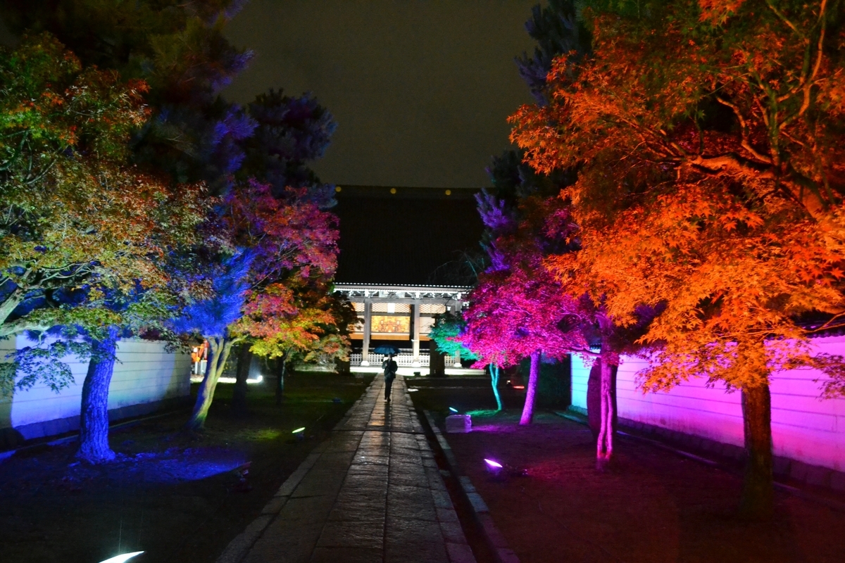 妙顕寺・山門の紅葉ライトアップ　見頃近し　2017年11月11日　撮影：MKタクシー