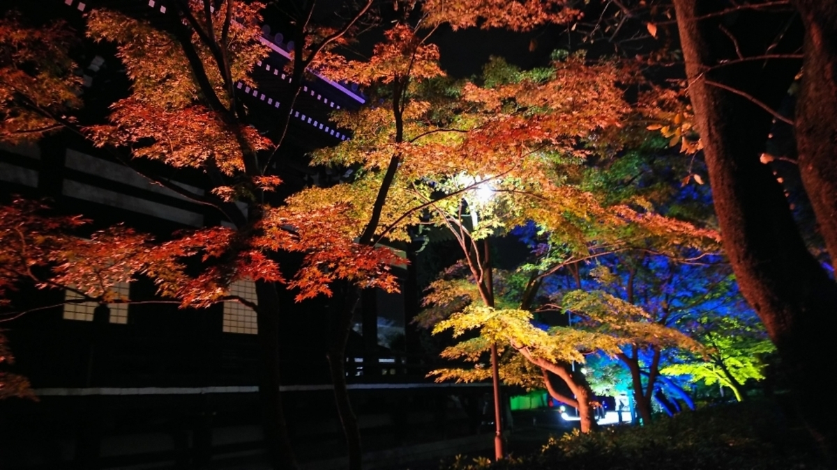 妙顕寺・本堂横の紅葉ライトアップ 見頃 2018年11月21日 撮影:MKタクシー
