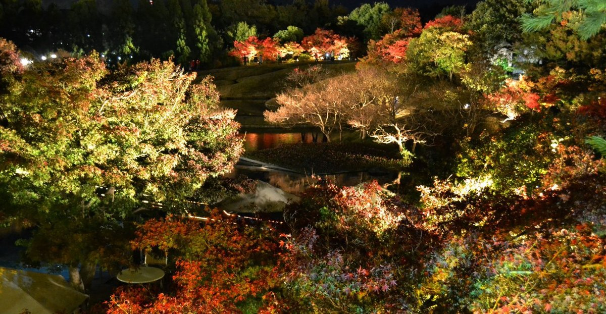 梅小路公園・朱雀の庭の紅葉ライトアップ 見頃 2017年11月19日 撮影:MKタクシー