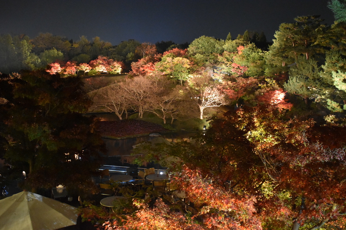 梅小路公園・朱雀の庭の紅葉ライトアップ　見頃　2018年11月27日　撮影：MKタクシー