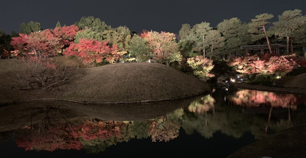 梅小路公園・朱雀の庭の紅葉ライトアップ 見頃 2018年11月27日 撮影:MKタクシー