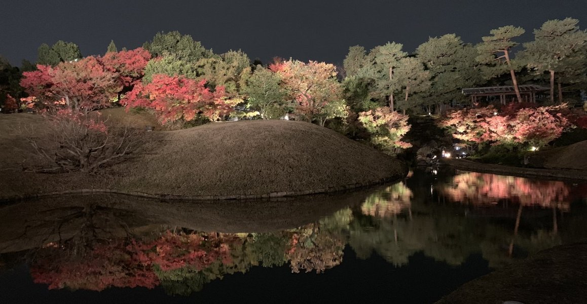 梅小路公園・朱雀の庭の紅葉ライトアップ　見頃　2018年11月27日　撮影：MKタクシー